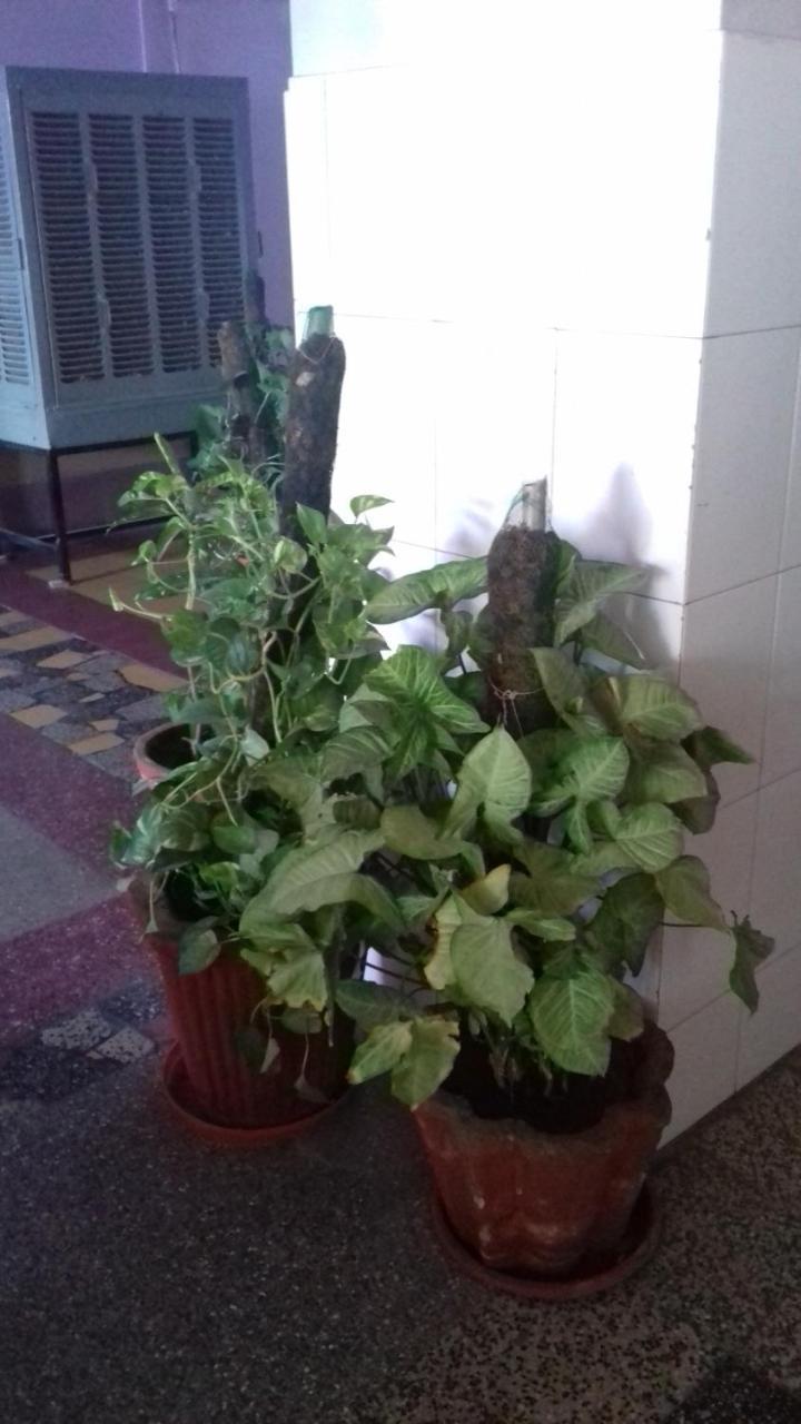 Arun Hotel Jodhpur  Luaran gambar
