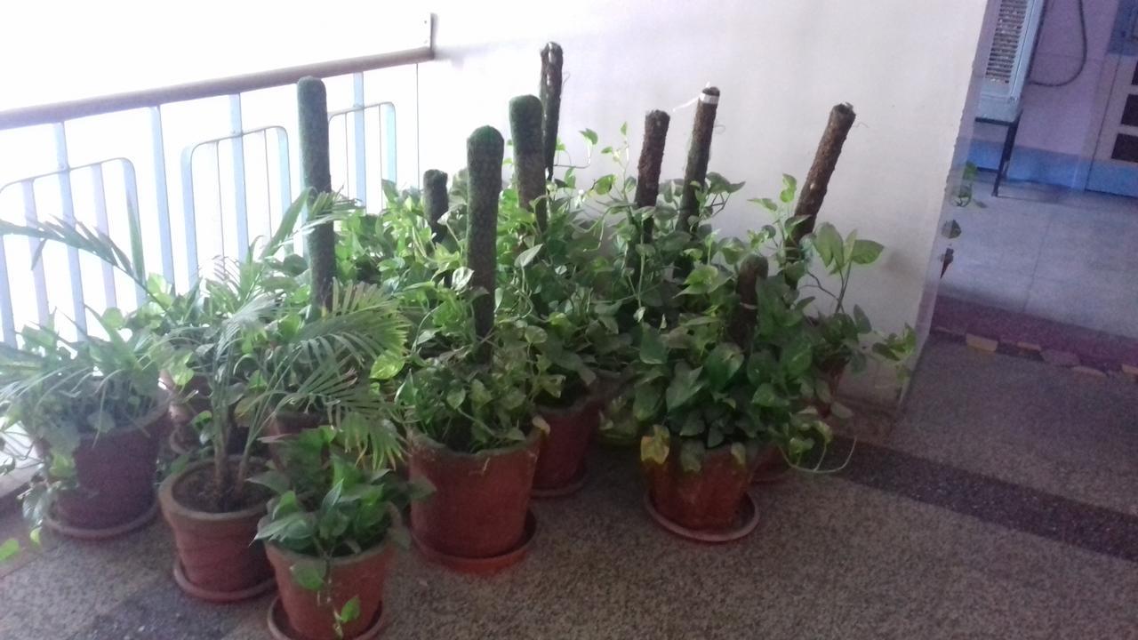 Arun Hotel Jodhpur  Luaran gambar
