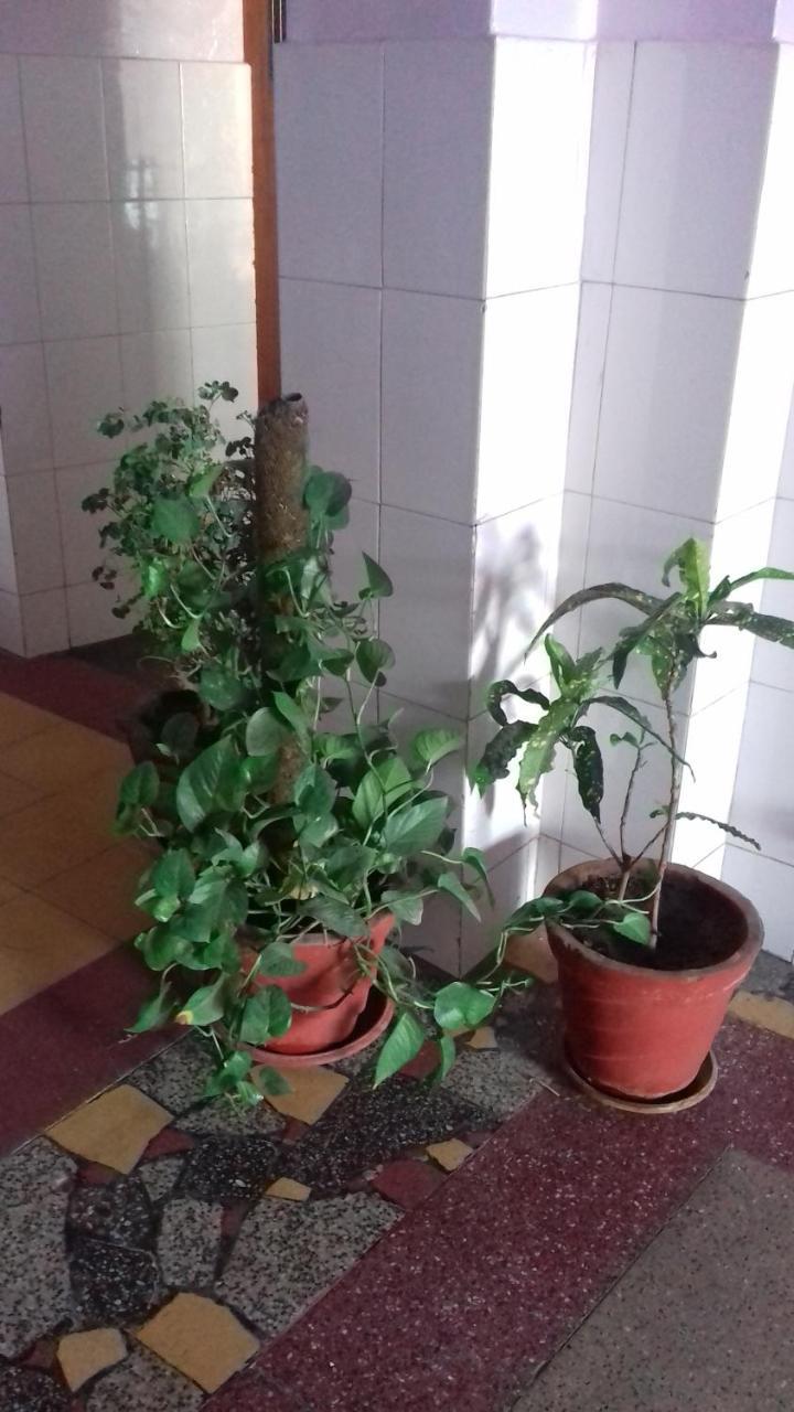 Arun Hotel Jodhpur  Luaran gambar